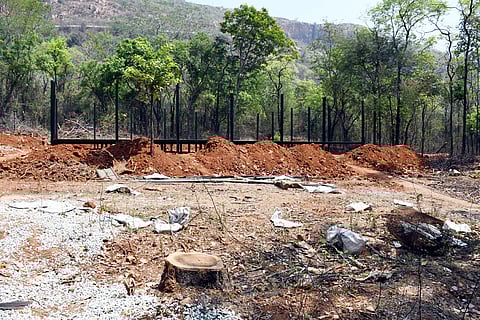 These new rules expand the scope of state governments to divert forest land for infrastructure projects.