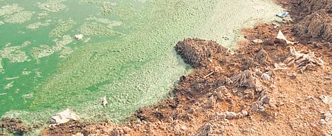 Fine ash from the incinerator and leachate from the nearby landfill has contaminated nearby water bodies at Jawahar Nagar in Hyderabad; 