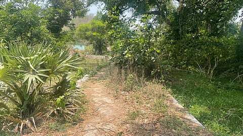 Both men's and women's restrooms are filthy and malodorous, some doors are broken, and the walking paths are littered with shrubs and debris. 