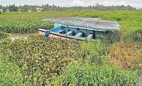 Akkulam lake in Thiruvananthapuram 