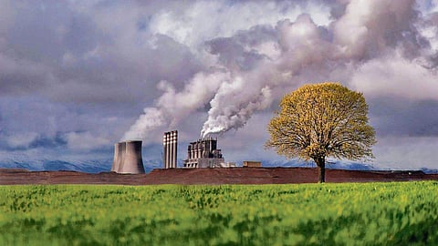 Ozone pollution 
puts essential crops in peril, reveals new study