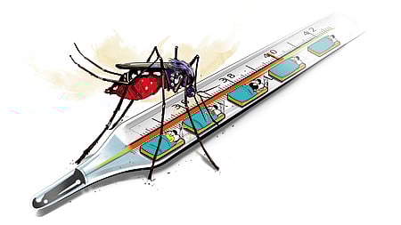 Image used for representational purposes only.