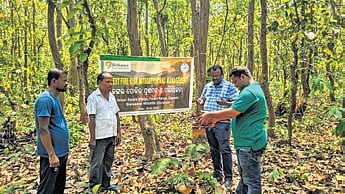 Advisories in vernacular language are also being disseminated in the districts of Rayagada, Mayurbhanj, Kandhamal and Kalahandi, officials of the Foundation said.