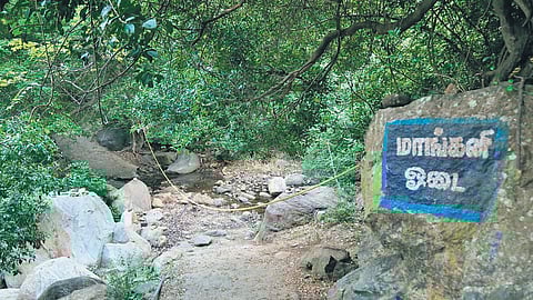 Since 2012, there have been at least 18 flash flood incidents which had left 11,740 devotees stranded 