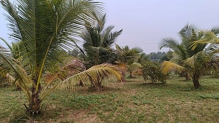 Image used for representative purpose.