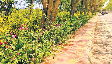 The Amaravati Development Corporation (ADC) has been making comprehensive arrangements to transform the capital region into a visual spectacle ahead of Prime Minister Modi’s visit 