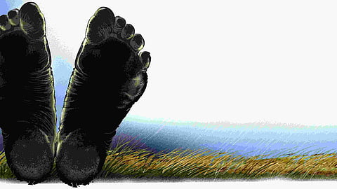 Image used for representational purposes only.