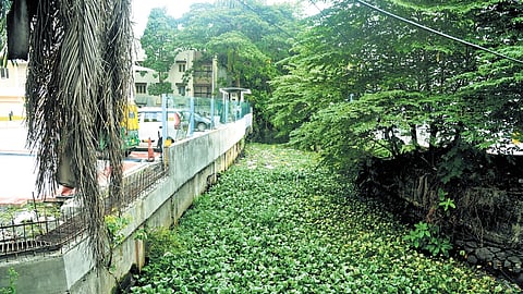 The Perandoor canal 
