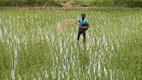 Odisha signs MoUs with four corporations to boost farmer support in 2025-26 