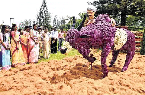 A two-day vegetable show is under way in the Nilgiris