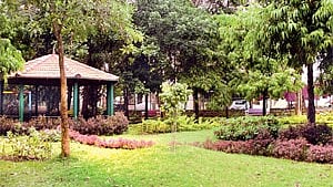 Extensions can be given to well-performing SHGs based on evaluations by the state or ULBs using a prescribed checklist.