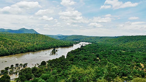 Rehabilitation of the existing anicuts, canal head sluices, culverts, inlets, and supply channels will be taken up along the Paralaiyar river stretch in Paramakudi, Kamudhi, and Mudukulathur blocks.