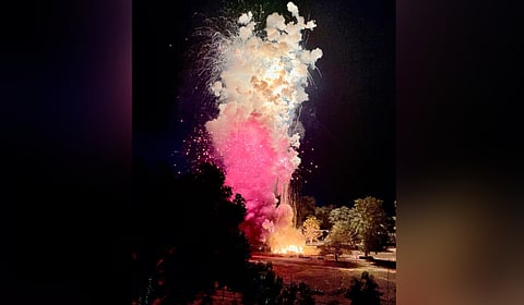 Thiruvambady Devaswom lit the fireworks first