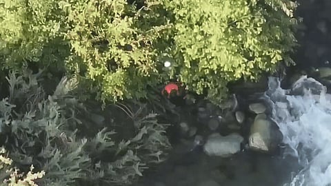 A video which claims to show Magray darting towards the riverbank and leaping into the stream. 