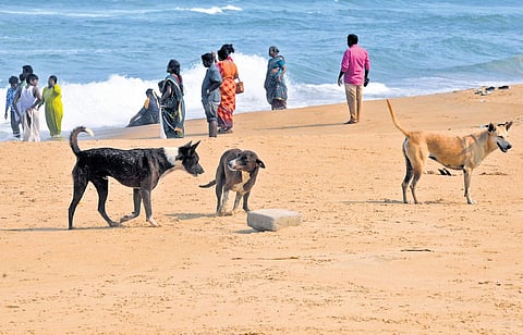 Image used for representational purposes. 