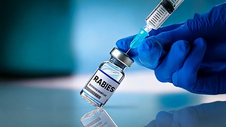 Krishnagiri man dies of suspected rabies weeks after dog bite despite vaccination