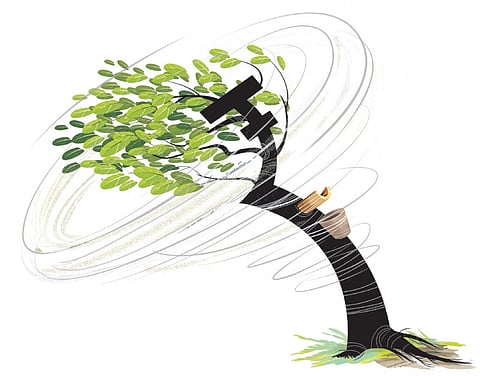 Due to DFTO not renewing the notification of 2010 on time, the import of rubber is more than doubled by availing duty free benefit.