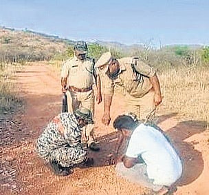 Forest officials inspecting pug marks in adjacent villages of NSTR