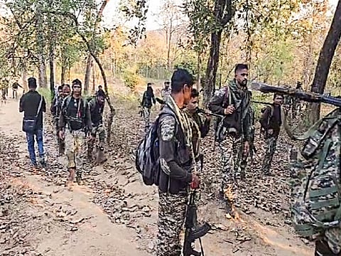 Two cadres of the outlawed CPI (Maoist) were killed in an exchange of fire with security forces in the south-western region of strife-torn Bijapur district, about 400 km south of Raipur.