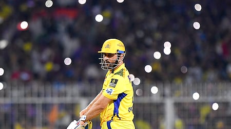 Brevis cracked a 19-ball half-century on a hot afternoon in Ahmedabad.