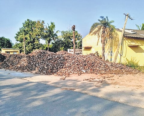 Coir units at Kanchili and Kaviti mandals