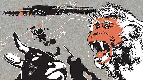 Photo for illustration