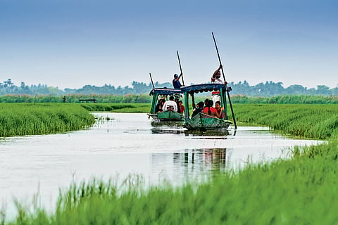 A ferry ride on Chilika Lake