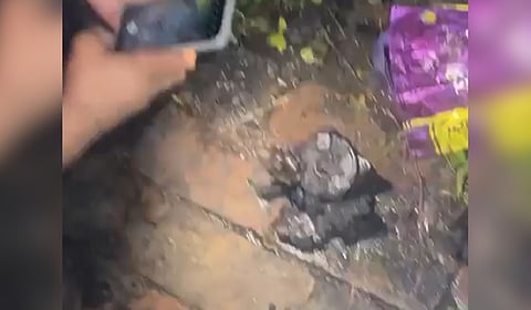 The armed drone that was neutralised in Ferozepur fell and hit a house, injuring three members of a family. 