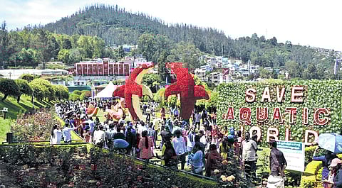 A 22-foot-tall pair of dolphins created using 80,000 rose served as the main attraction of the 20th Rose Show which began in Ooty on Saturday.