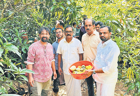 Friends posing with mangoes harvested from his garden at Karuthaparamba in Kozhikode