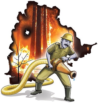 Over 4,500 hectare area in Odisha affected by forest fire this year: Report  