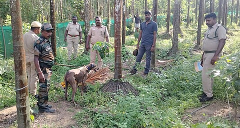 A team of forest staff conducted a surprise raid at Vedan Vayal and Thattakolli in Gudalur forest range with the help of a sniffer dog to check the illegal activities. In the end, the team did not recover any snare or country made bombs. 