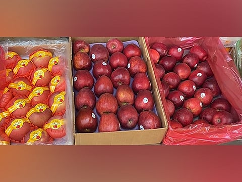 The Fruit Mandi Union in Alwar has declared a complete halt on the sale of apples imported from Turkiye.