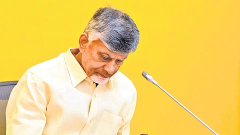 Chief Minister N Chandrababu Naidu