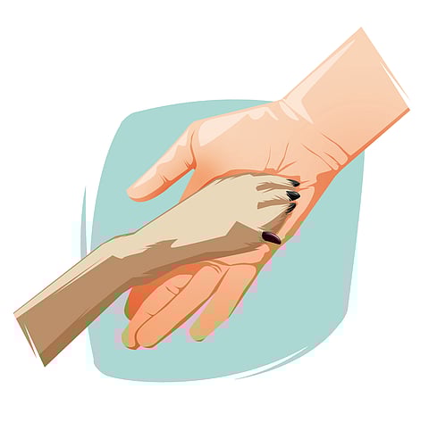 By Wednesday morning, one dog was found dead and two others were missing, prompting a complaint.