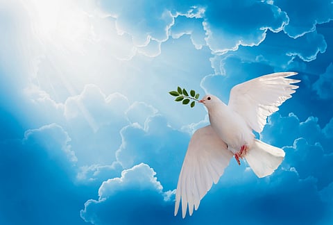 Peace: Our Forgotten Dharma