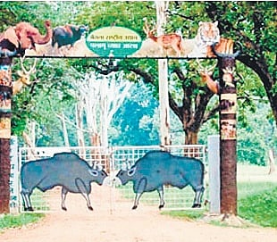 Decks cleared for relocation of seven villages in submerged area of Jharkhand