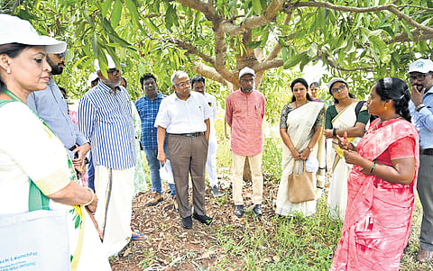 From failure to flourishing: NTR district woman farmer finds success through natural farming