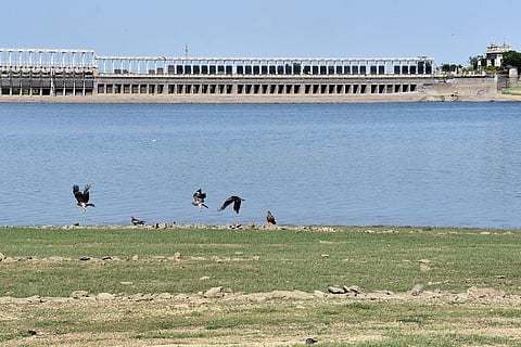 File Photo | A view of Krishna Raja Sagara dam 