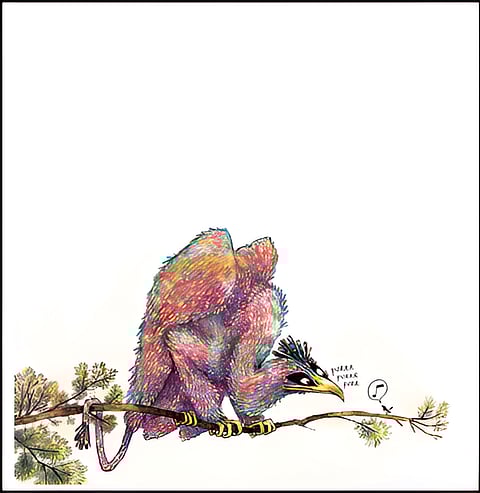 A fable of friendship 