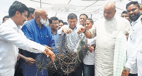 Fisheries, Animal Husbandry and Dairy Development Minister Kinjarapu Atchannaidu launched the ‘Seaweed Harvest’ programme and artificial reefs.