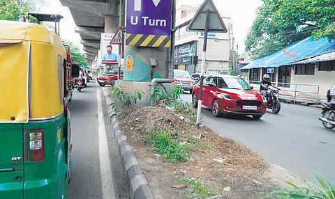 The plants initially planted at the Kochi metro medians have all dried up after several sponsors withdrew from the task of garden maintenance