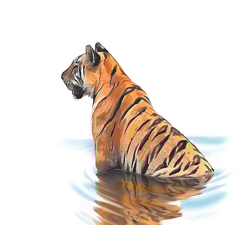 While Siddaramaegowda managed to escape, Rajashekar was mauled by the tiger and he died on the spot because of severe injuries on the face.