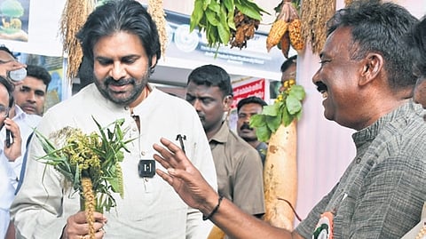 As part of the State government’s commitment, Pawan Kalyan announced that a Biodiversity Park will be established in every district