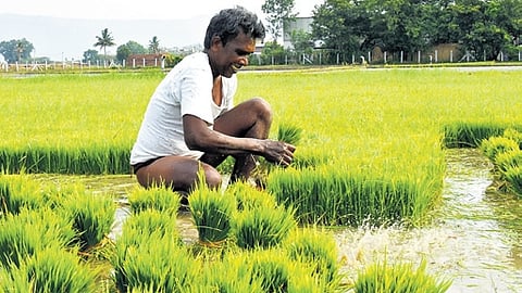 Residents of Pudur town must travel nearly 30 km to reach the taluk headquarters, while people from peripheral villages in the panchayat union often travel up to 45 km