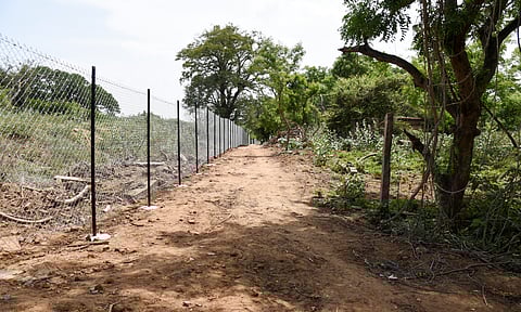 Forest department prepares plan for new urban forest in Tiruchy