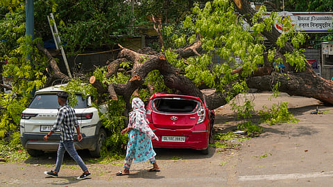Vehicles crushed under an uprooted tree following strong winds and rains on Wednesday, in New Delhi, Thursday, May 22, 2025.