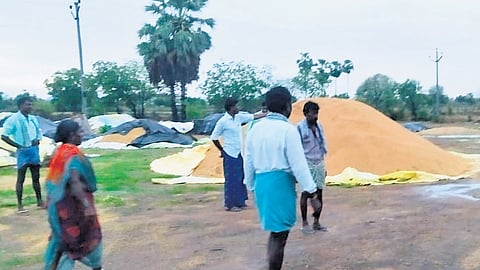 Rain-soaked paddy at an IKP centre in Annaram village, Thungathurthi mandal