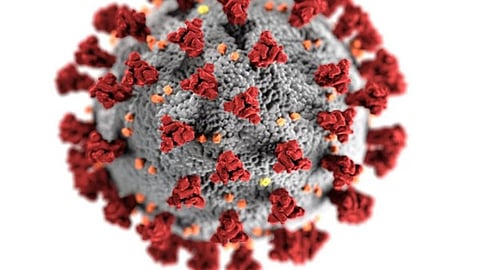 Measures such as hand hygiene, cough etiquette, and adherence to COVID-19 Appropriate Behaviour (CAB) have also been strongly recommended.