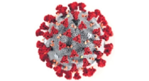 Dr Nayak stated that small mutations in viruses like Covid are common, and people have already developed immunity to tackle the virus. 